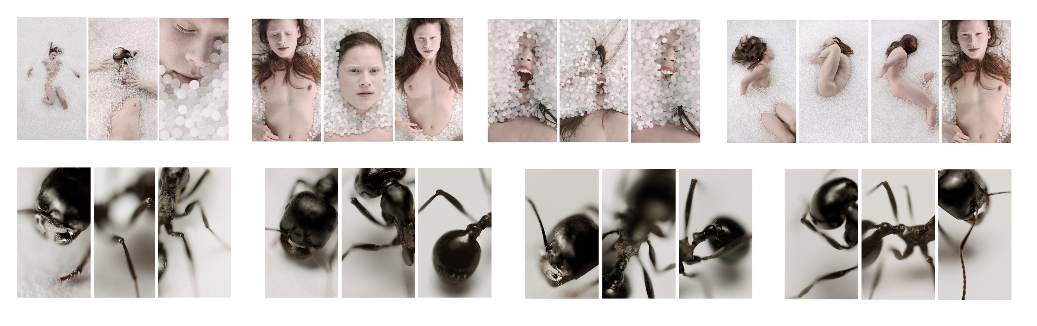 RGB tiff image by MetisIP