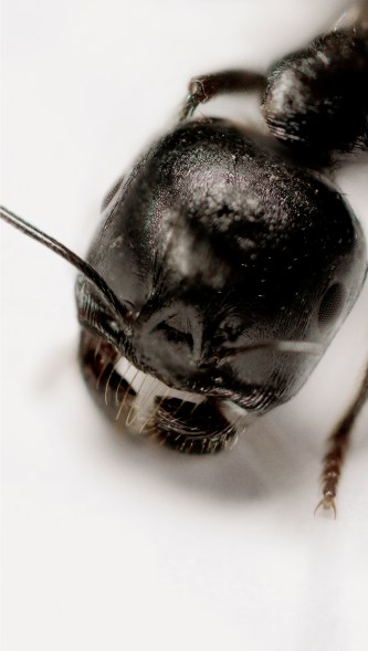 ••B1-3 new ARRIRAWConverter_Snapshot_20170616_145413